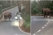 wild elephant attack against car passengers at wayanad kurichipatta