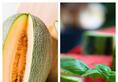 Watermelon to Cantaloupe: 7 hydrating fruits you must eat in Summer ATG
