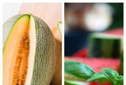 Watermelon to Cantaloupe: 7 hydrating fruits you must eat in Summer ATG