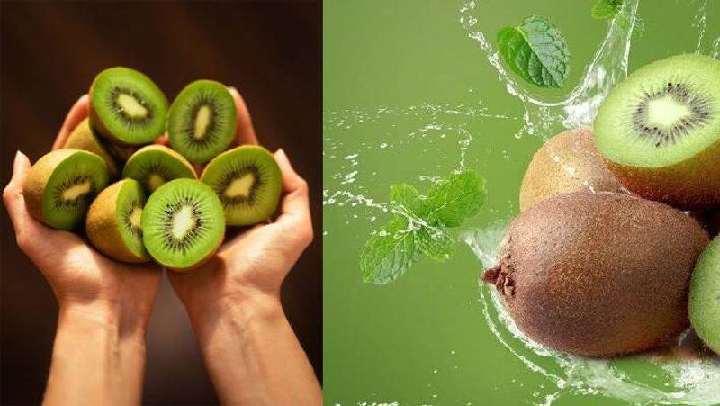 in summer eat kiwi protect from dengue malaria and useful in weight loss XBW