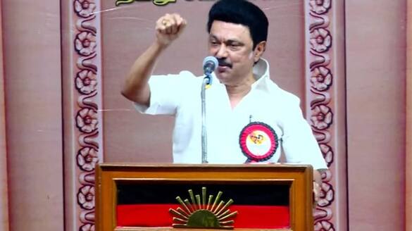 Chief minister MK Stalin Election campaign in dharmapuri and krishnakiri ans
