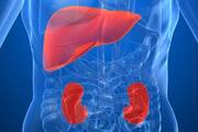most harmful foods for your kidney and liver