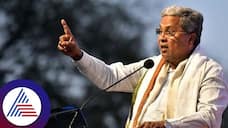 Hassan Lok sabha election 2024 Karnataka CM Siddaramaiah campaininkg rav