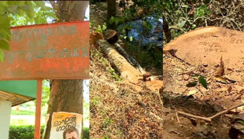 forest department watcher may be the accused of sugandhagiri tree cut case
