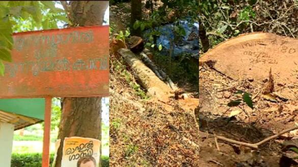 forest department watcher may be the accused of sugandhagiri tree cut case