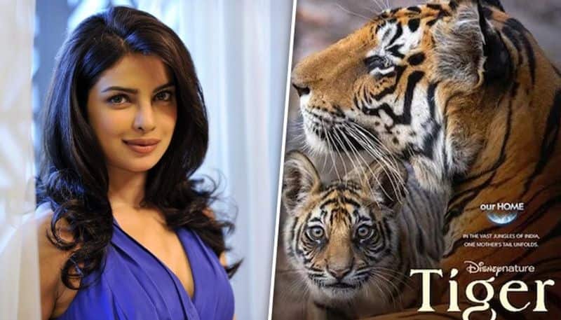 Tiger Priyanka Chopra lent her voice for Disney's upcoming film as tigress Amba; Read on ATG