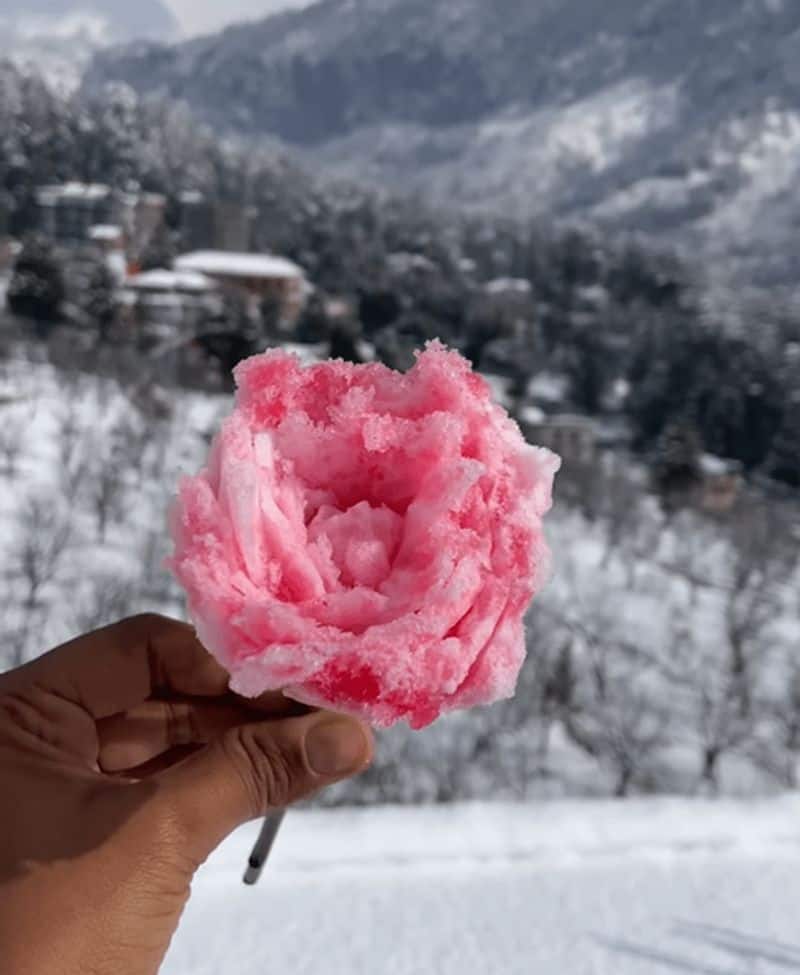 Influencer crafts rose ice cream using snow, enjoying it like a gola; Online users express concern (WATCH)