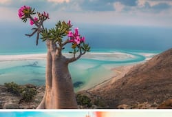 Socotra to Fly Geyser: 7 unusual wonders on Earth ATG