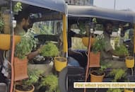 video viral of auto driver auto full of plants zkamn