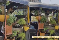 video viral of auto driver auto full of plants zkamn