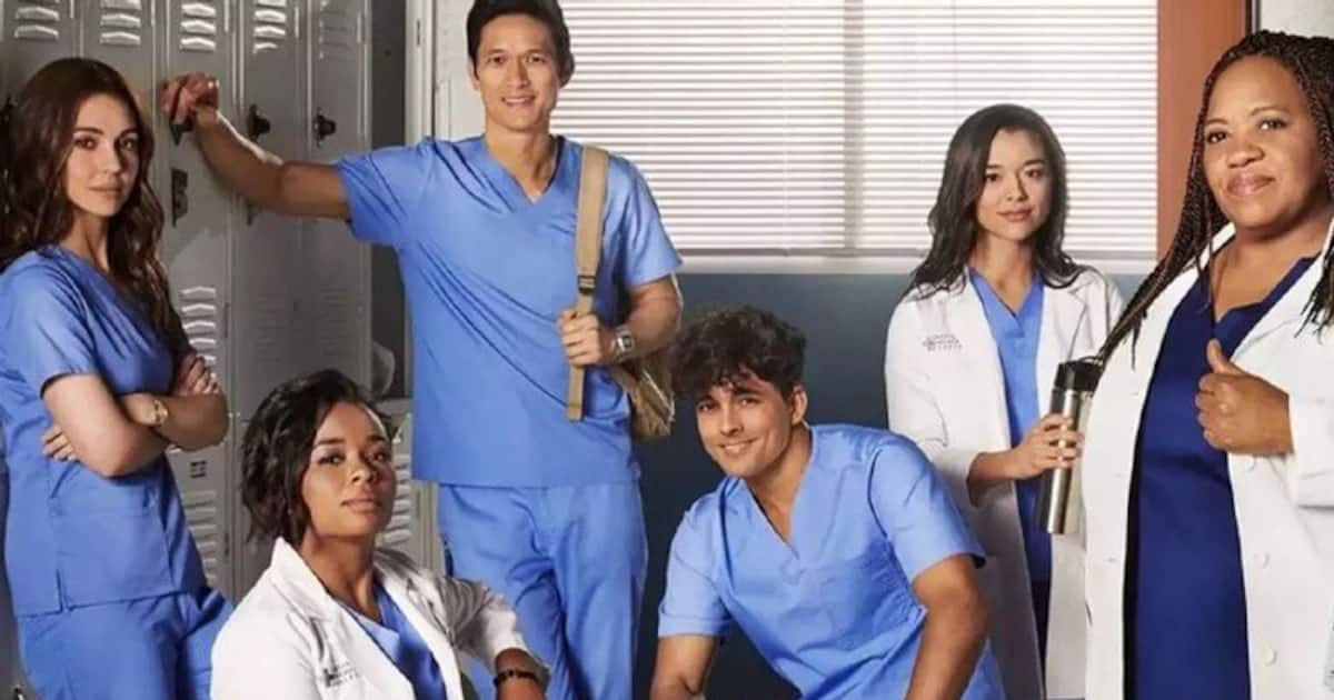 Love 'Grey’s Anatomy'? Is the medical drama gearing up for its 21st