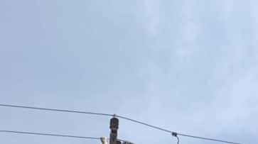 Viral video: Woman climbs electric pole in Gorakhpur amidst ruckus over illicit affair (WATCH)
