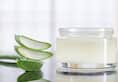 Beauty Tips: 7 Amazing Ways to Include Aloe Vera in Your Beauty Routine nti