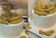 video viral of Birthday cake made on potty theme zkamn