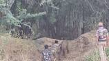 forest department reunited the 3-month-old baby elephant with its mother after fighting for 5 hours tvk