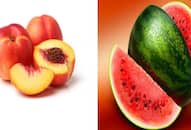 world health day 2024 watermelon Peach eat these hydrating fruits for summer kxa 