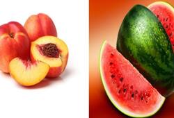 world health day 2024 watermelon Peach eat these hydrating fruits for summer kxa 