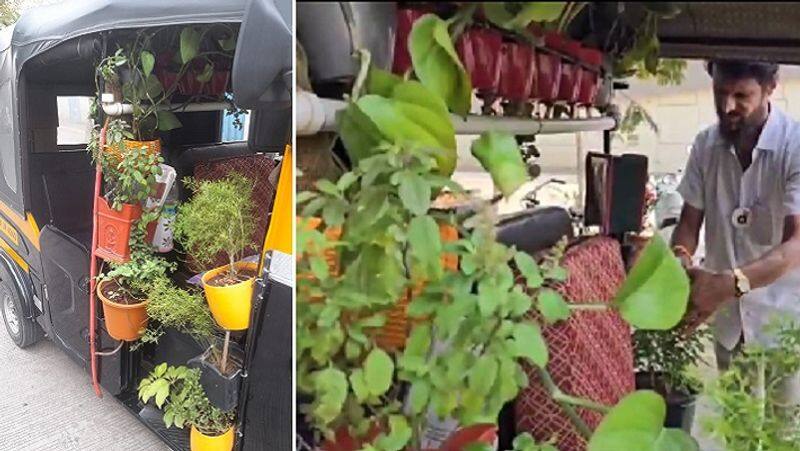 pune garden rickshaw Driver ganesh nanekar Eco Friendly Initiative plant saplings in auto zrua