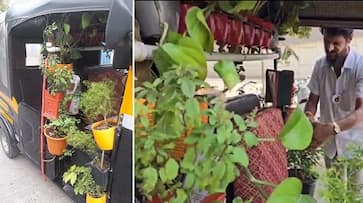 pune garden rickshaw Driver ganesh nanekar Eco Friendly Initiative plant saplings in auto zrua