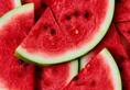 how to pick a sweet adulterants watermelon benefits side effects kxa 