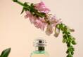 Perfume guide: 6 Best scents for a vibrant spring this yearrtm 