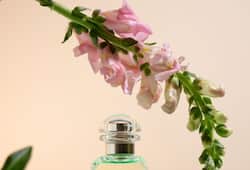 Perfume guide: 6 Best scents for a vibrant spring this yearrtm 