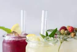 Make healthy and energetic drinks at home during Navratri 2024 xbw