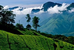 Ooty Lake to The Tea Factory: 7 Most-Scenic tourist places to visit in Ooty nti
