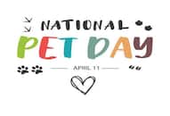 National Pet Day 2024: Here is everything you need to know nti