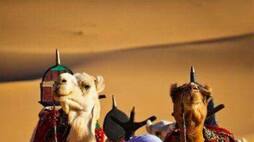 Death Valley Libya Bandar-e- Mahshahr Dallol Ethiopia hottest place in the world kxa