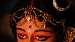 What is the difference Between Chaitra And Sharad Navratri?rtm