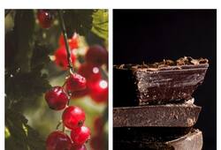Berries to Dark chocolate: 7 high anti-oxidant super foods ATG
