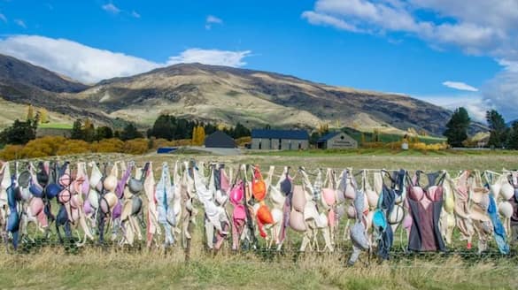 Strand Ritual in New Zealand young women hand their bra in fence do you know why ans