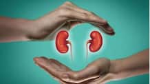 Avoid three foods that damage the kidneys