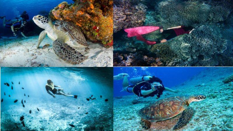 top 6 best scuba diving places in india kxa 