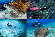 Summer Vacation 6 best destinations for scuba diving in India iwh