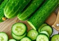 The cool benefits of cucumber here is why you should enjoy it daily this summer iwh