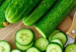 The cool benefits of cucumber here is why you should enjoy it daily this summer iwh