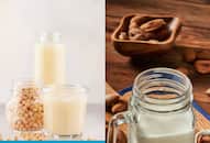 8 Health Benefits of Non-Dairy Milk nti