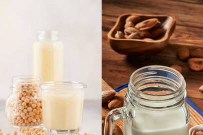 8 Health Benefits of Non-Dairy Milk nti