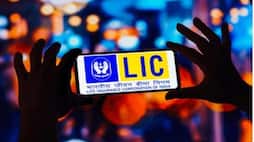How much LIC profited from its investment in the seven Adani Group companies? nti