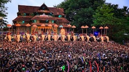 Thrissur Pooram 2024: Kerala's most awaited largest temple festival today rkn