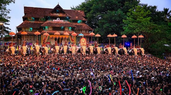 Crisis again for Thrissur Pooram; The forest department has again issued an order to control the elephants