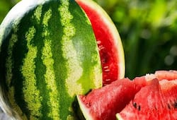 5 benefits of consuming watermelon in summers zkamn 