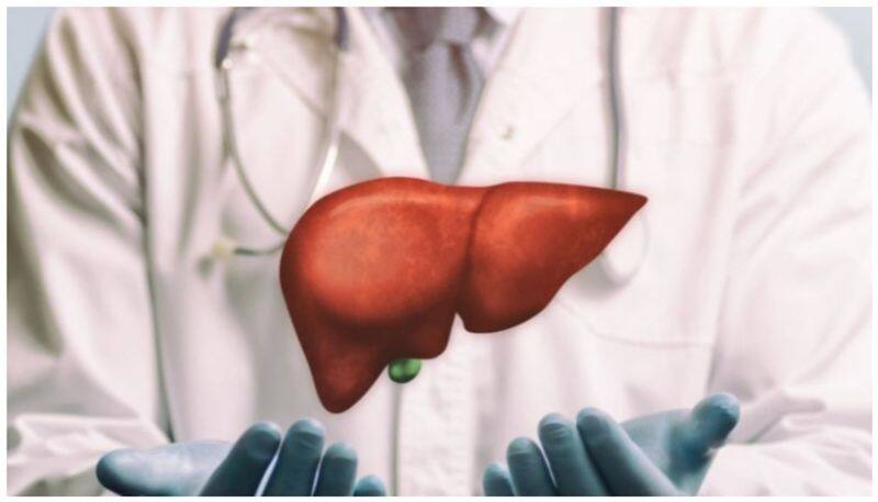 World Liver Day 2024: Let's understand liver disease, its causes, symptoms, and risk factors RBA