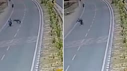 Fatal collision: Ayodhya biker dies as Nilgai horn pierces chest in tragic road accident (WATCH) AJR