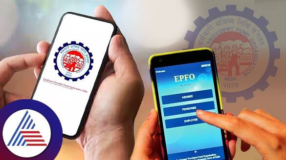 EPF rates for FY 23-24 increased to 8.25%: When will it be credited? Here's how to check your account balance vkp