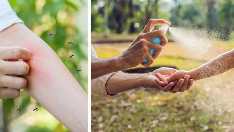 6 Best Home Remedies to Mosquitoes away xbw