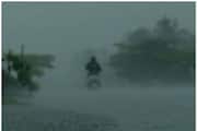 rain yellow alert in five districts on sunday imd predicts rain in all districts from may 10 to may 14