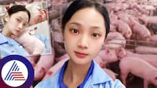 Chinese Women Becomes Internet Sensation After Left Job For Pig Farming roo